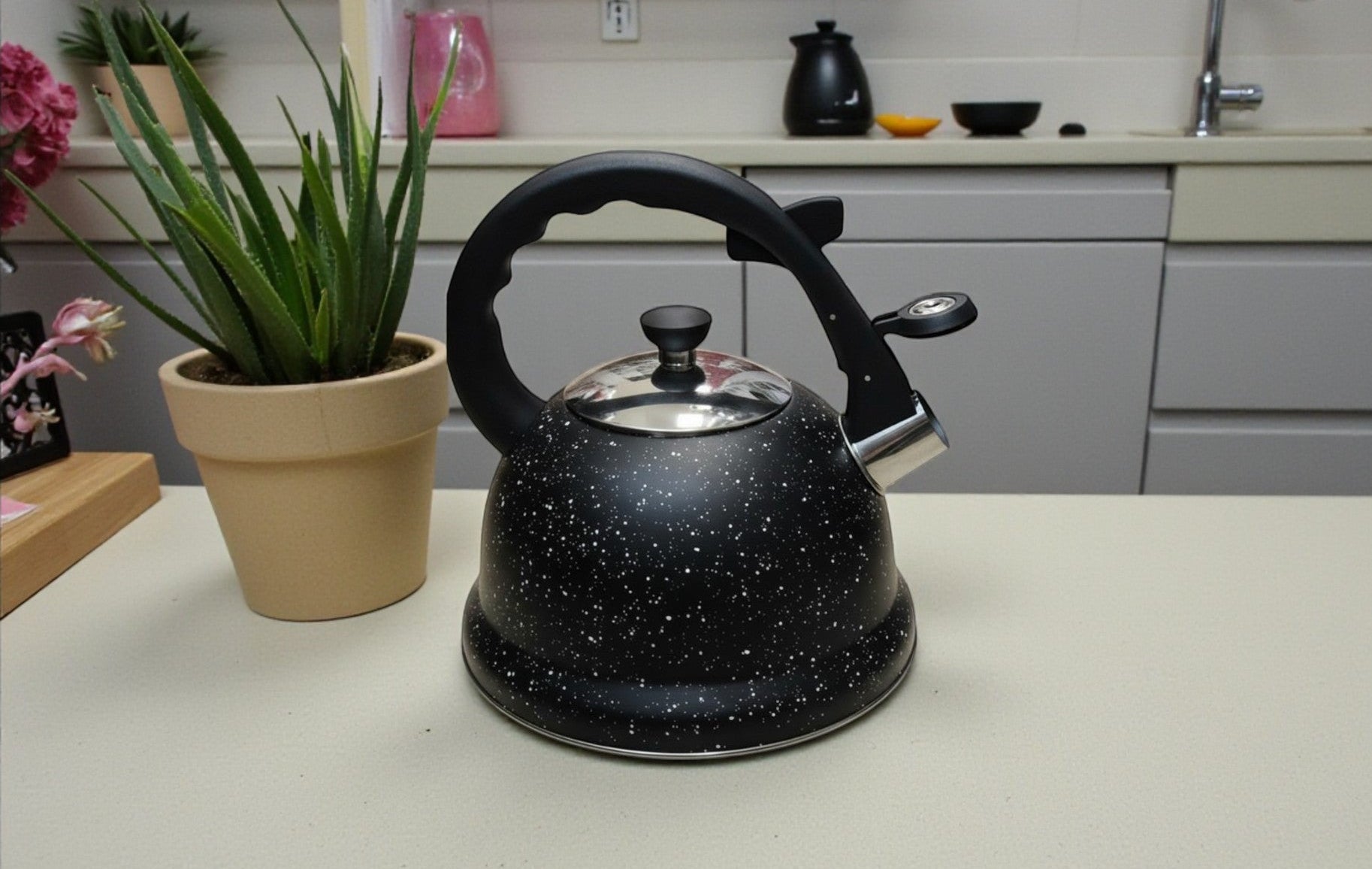 Bouilloire sifflante — 3,5L